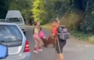 Man intimideert groep vrouwen, wordt vol in zijn gezicht gesprayd met berenspray