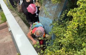 Klimaatdemonstrant Trees komt vast te zitten terwijl ze de A12 probeert te bereiken: ‘AUW.. DUWEN!!’