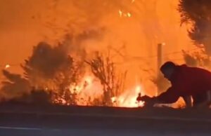 Held redt konijnennest van woedende brand in Frankrijk met gevaar voor eigen leven