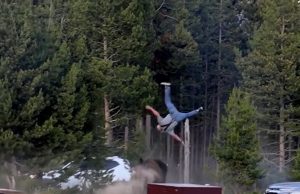 Toerist metershoog de lucht in geslingerd door wilde bizon in Yellowstone National Park
