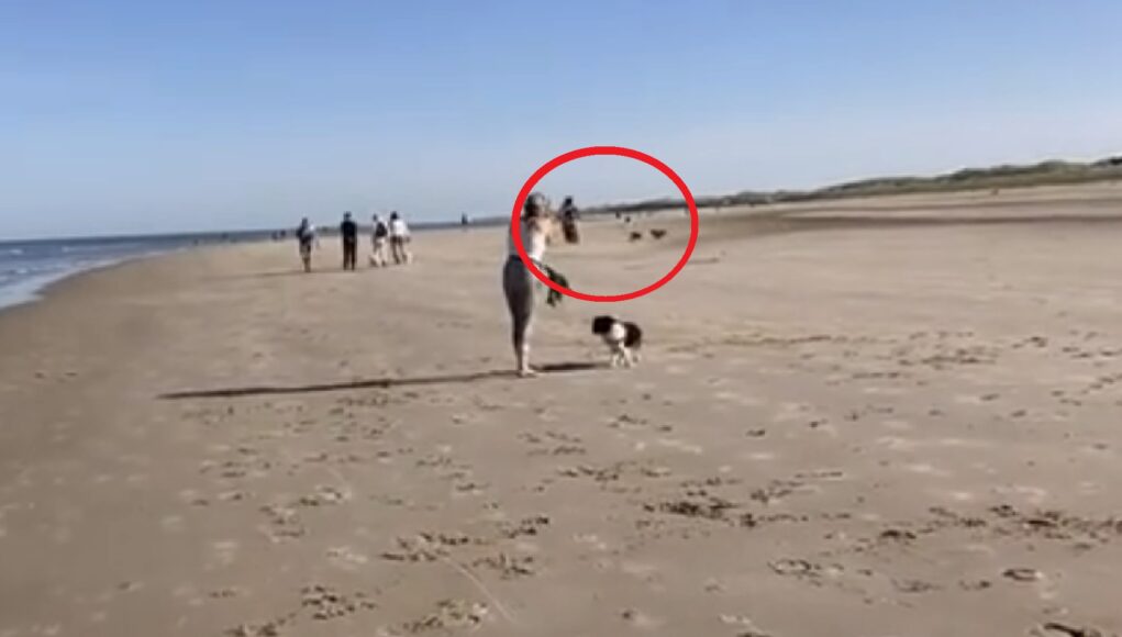Bergen aan Zee
