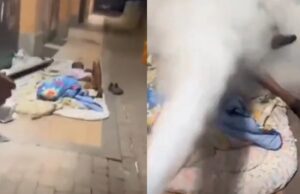 Woede om video van slapende migranten in Ceuta die wakker gemaakt worden met brandblusser
