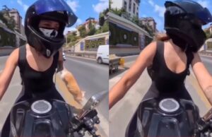 Vrouw vervoert kat achterop motor, maar die springt eraf tijdens rit op drukke snelweg