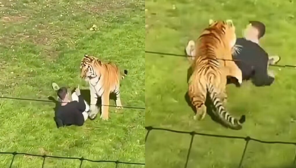 Dierenpark